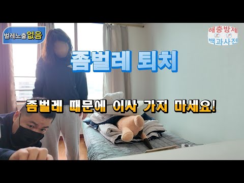 원룸에서 좀벌레를 퇴치하는 방법