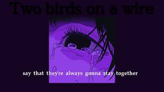 Two birds on a wire Sped up (Lyrics)