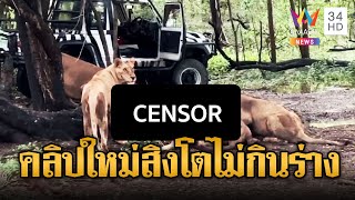 เปิดคลิปใหม่ แก๊งสิงโตรุมขย้ำพนักงาน แล้วทำไมมันหนีไม่กินร่าง | ข่าวอรุณอมรินทร์ | 12/9/68
