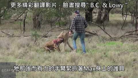 Người đàn ông đánh nhau với kangaroo