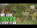 Ask these questions before letting bucks walk