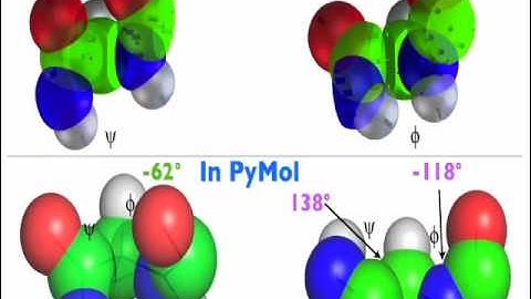 Peppytide: Physical Molecular Models of the Polypeptide Chain