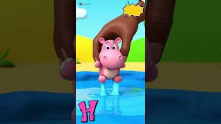 A to O Alphabet Animals 🐾 | Clay Animals Drop in Water &amp; Run | Learn ABC for Kids #abcd #shorts