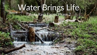 Water Brings Life: Tabula Rasa Farms, Phase 2  Elemental Ecosystems