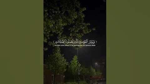 إن هذا القرآن يهدي للتي هي أقوم ｜ سورة الإسراء الآية 9 –