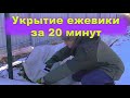 Укрытие ежевики за 20 минут