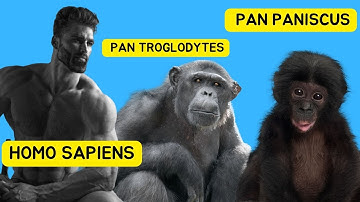 Why Does Biology Use Latin?