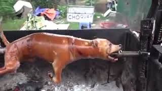 Perro asado en china