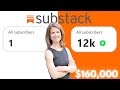 From beginner to substack expert and 160000  interview with sarah fay