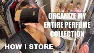 How I Store &amp; Organize my Entire Perfume Collection 2021 | itsMJ