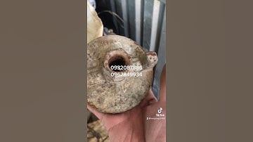 CPV | Tán chuồn cũ D16 và D17 - Hệ ty ren tán chuồn xây dựng 3/11/2021