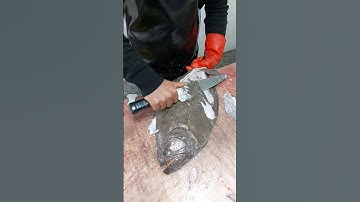 How to Clean Flounder | Can you eat flounder skin #shorts