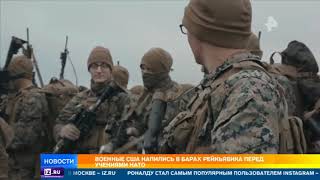 Военные США напились в барах Рейкьявика перед учениями НАТО