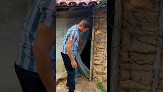 Temos que viver a nossa vida#roça #interior