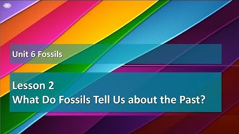 Unit 6 Lesson 2 Exploration 3