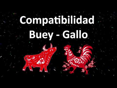 Video: Horóscopo De Compatibilidad Oriental: Buey Y Gallo