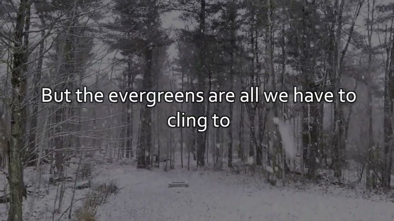 The Evergreens - Joseph Foy - Official Lyric Video