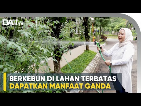 Video: Menjaga Tanaman Kontainer Dalam Ruangan Anda Tetap Hidup - Pengetahuan Berkebun