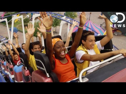 Why Do We Love Roller Coasters?