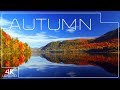 Magic autumn 🍂 Beautiful nature in 4K