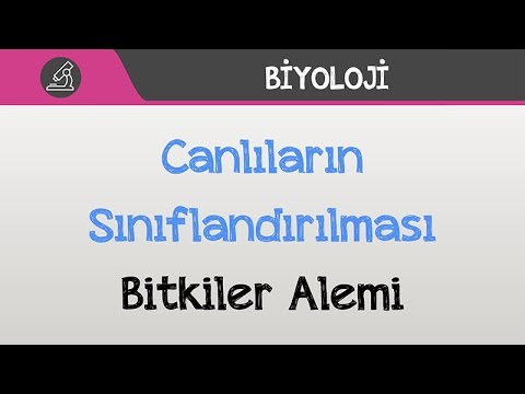 Canlıların Sınıflandırılması - Bitkiler Alemi