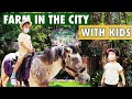 Let&#39;s Visit - Farm In The City with Lucas &amp; Olivia | Full Tour |