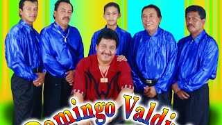 Video thumbnail of "Domingo Valdivia y Compañia - Se Murió el Perrito"