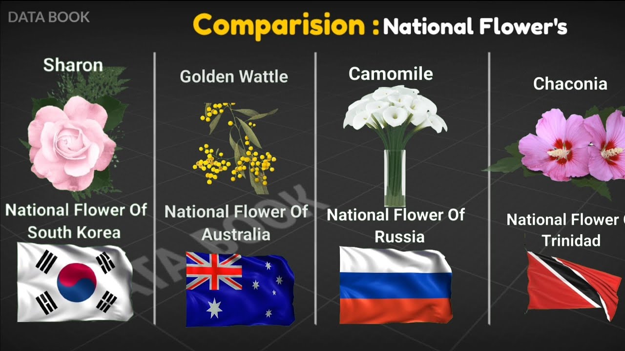 Data Book National Flowers from different countries Comparison