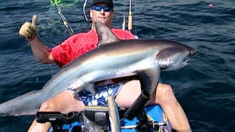 Kayakers vs. Thresher Sharks: Malibu, Part 2