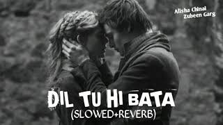 Dil Tu Hi Bata || (Slowed+Reverb) || Alisha Chinai, Zubeen Garg || Krrish 3 || Lofi Song