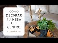 CÓMO INCLUIR PLANTAS EN TU CENTRO DE MESA | 3 ejemplos de cómo decorar la mesa de centro de tu hogar