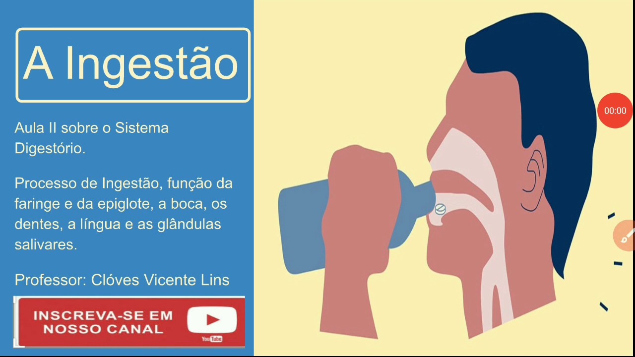 Ingestão dos alimentos. O Sistema Digestório - aula II. - YouTube