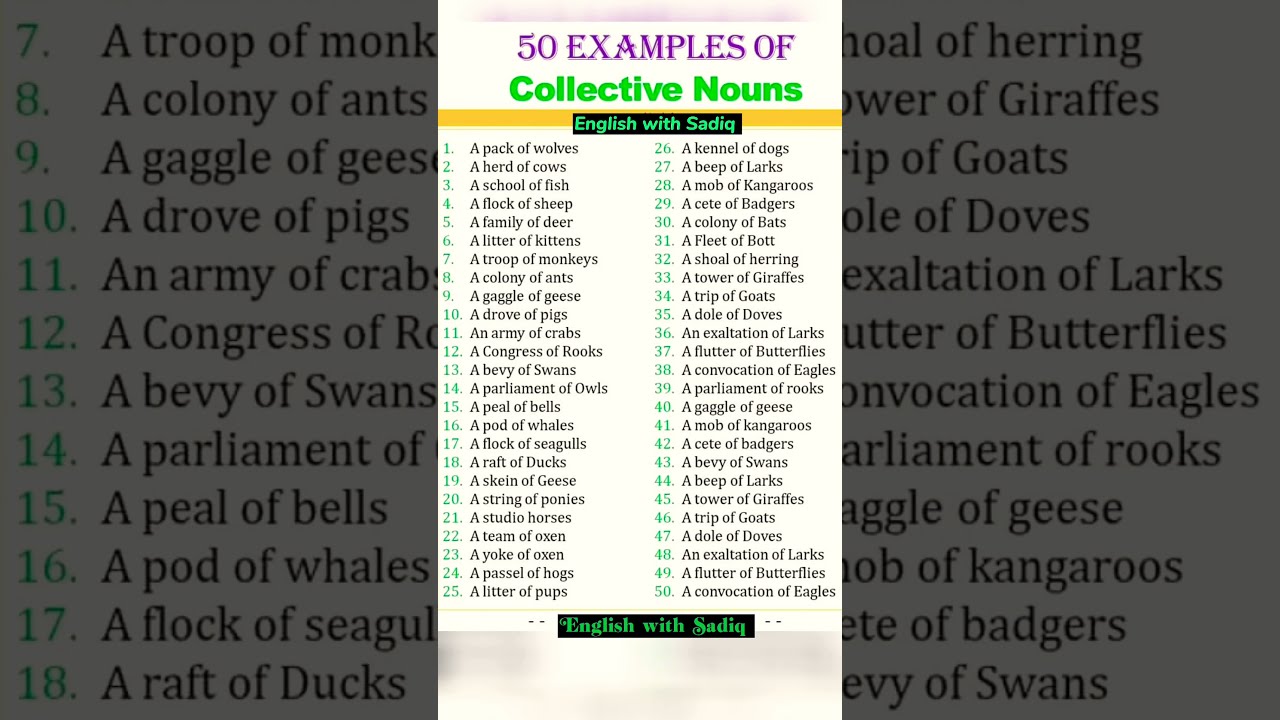 50 Collective Nouns You Need To Know Spokenenglish Vocabulary Learnenglish