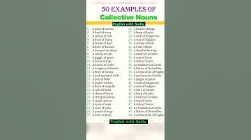 50 Collective Nouns you need to know || #spokenenglish #vocabulary #learnenglish