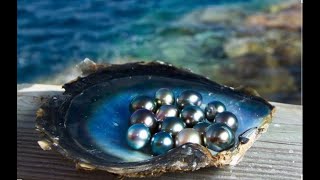 Top 5 the most famous Pearls in the world