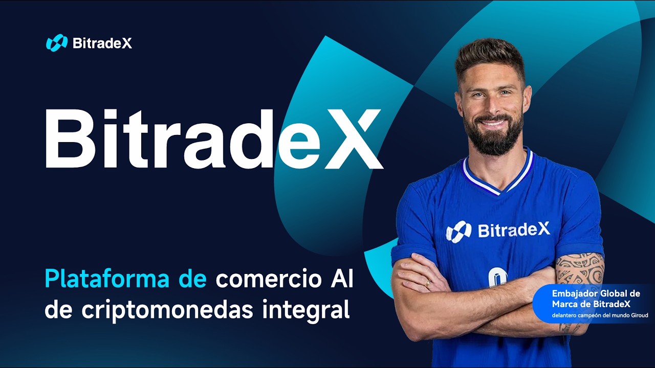 Presentación Zoom - BitradeX en Español. - YouTube