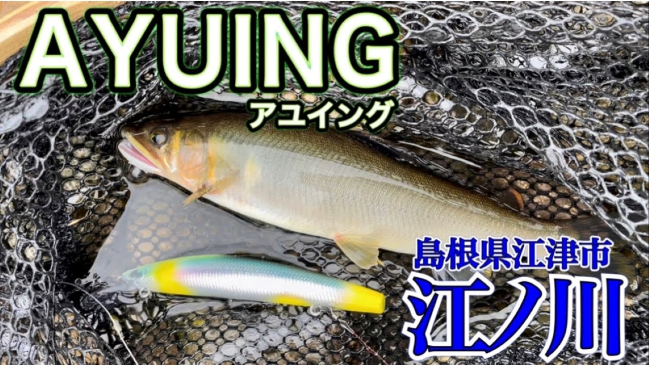 新感覚 ルアーで鮎釣り アユイングに初挑戦 島根県江ノ川 Youtube