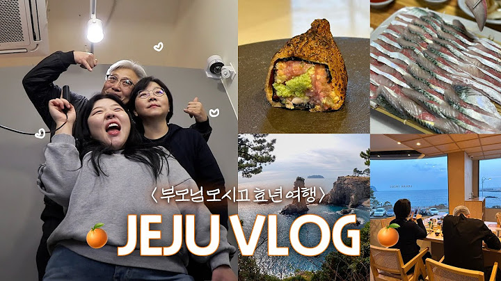 *SUB) Vlog🎞️지금까지 젤 만족 한 제주 에어비앤비🏠. 제주 고등어 회는 지금이라〰️🐟 흑맥주맛집 찾음.