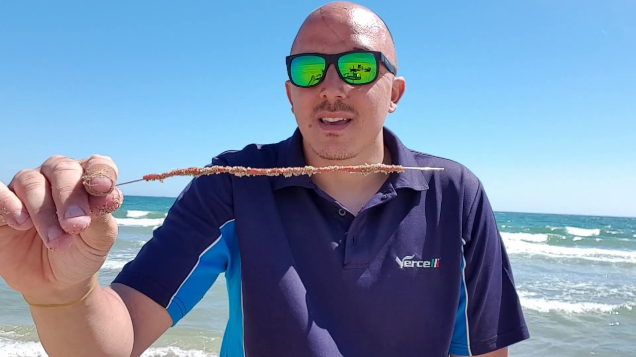 Cebos Infalibles / La Lombriz de Arena o Catalana