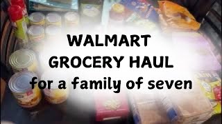 WALMART GROCERY HAUL