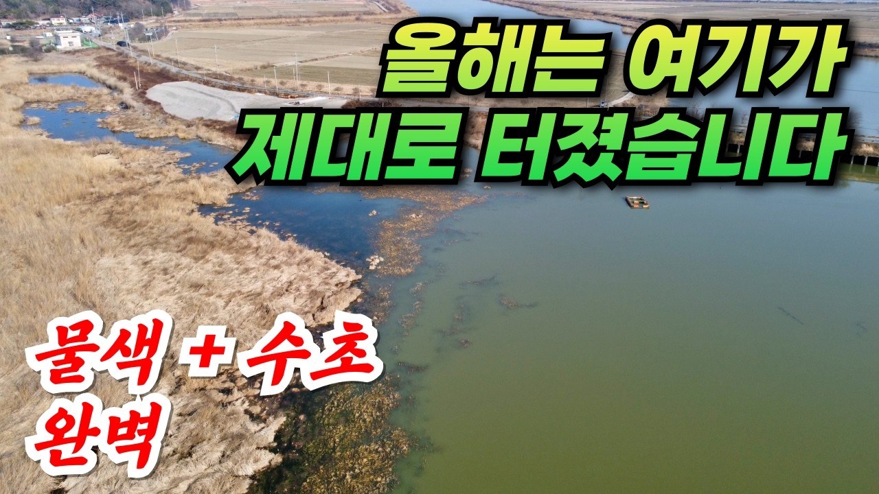 4짜가 자동빵 되는 미친 활성도 / 옥수수, 글루텐, 지렁이 다 잘먹네 / 남도 붕어낚시