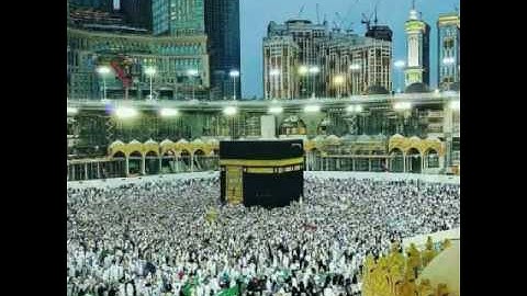 ما تيسر من سورة فصلت للقارئ ضياء احمد العزي