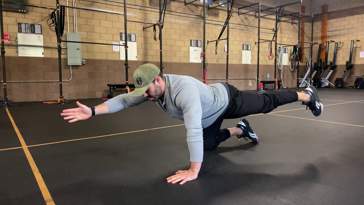 Bird Dog + Knee Tuck YouTube
