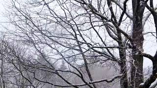 Soğuk Ayların En Soğuğudur Aralık Ayı Yüreklerimiz Üşür