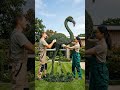 Topiary Flamingo🦩 #topiary #luxurygarden #gardendesignideas #flamingo #tiktokgrowthchallenge