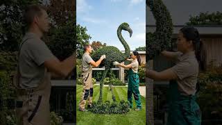 Topiary Flamingo🦩 #topiary #luxurygarden #gardendesignideas #flamingo #tiktokgrowthchallenge
