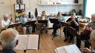 Mandoline orkest Kwint 10 jaar