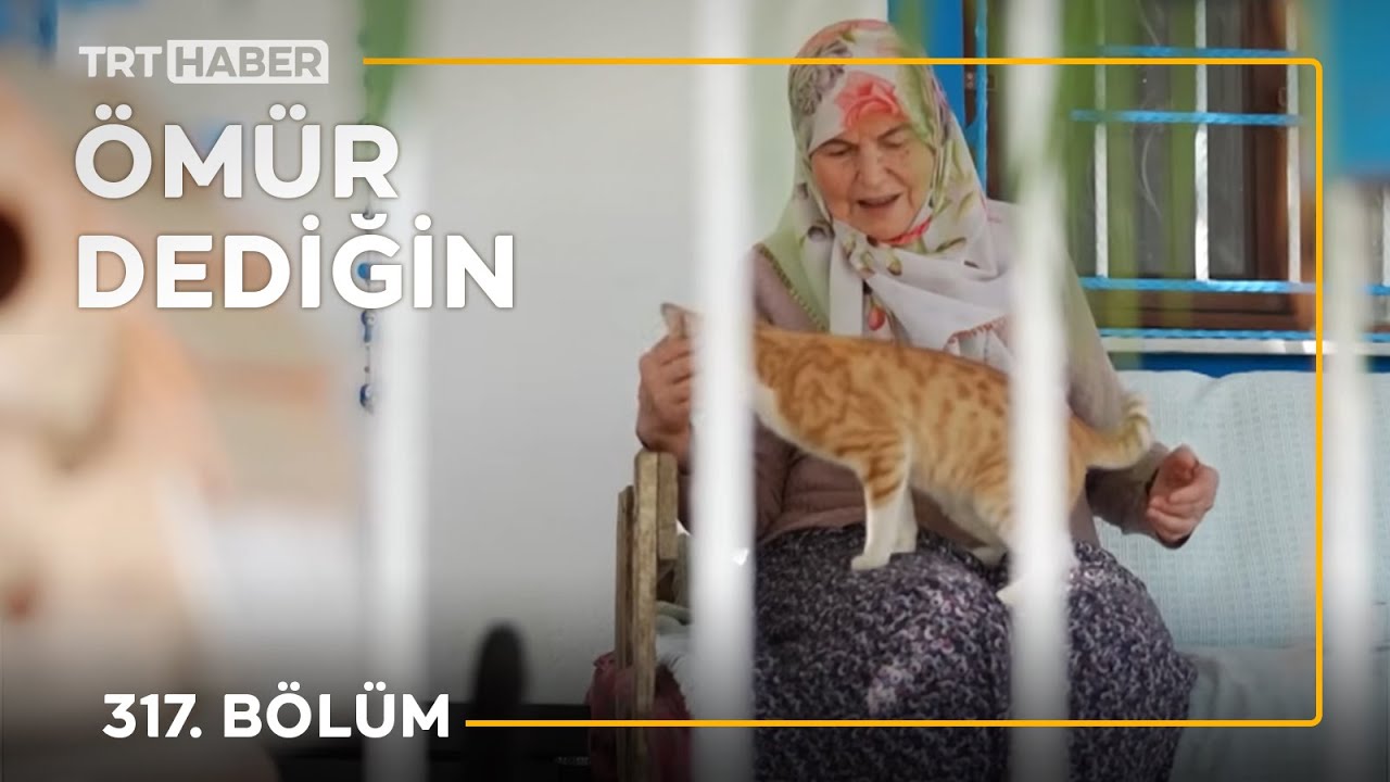 Ömür Dediğin 317. Bölüm