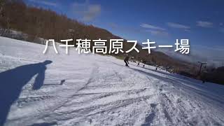 八千穂高原  スノーボード フリー カービング