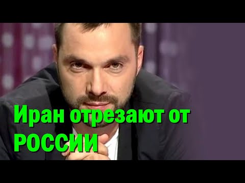 Видео: Собствениците на градски кучета в Иран са изправени пред солидни глоби и 74 удара по новия закон